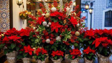 İstanbul Yılbaşı Çiçekleri: Kokina, Poinsettia ve Özel Tasarım Aranjmanlar | Gardenya Çiçek