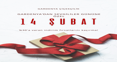 Sevgililer Günü Özel Koleksiyonu