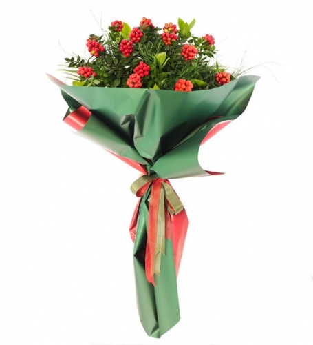 2 Demet Kokina Buketi