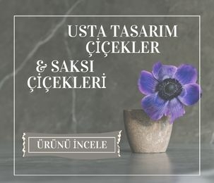 SAKSI ÇİÇEKLERİ