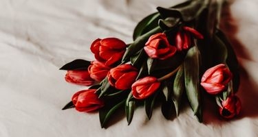 Yıl Dönümü Hediyesi Çiçekler