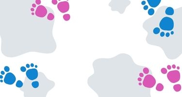 Yeni Bebek Çiçekleri